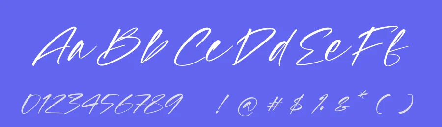 Strokeline Monogram Script Font by Operatype.Co — Script Handwritten Font — thumbnail 3