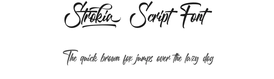 Strokia Script Font by RNDI Type Foundry — Script Handwritten Font