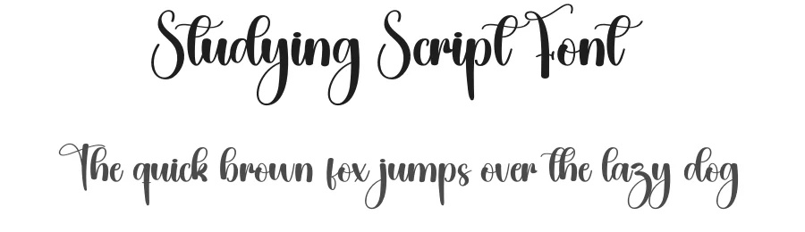 Studying Script Font by creativeletter — Script Handwritten Font