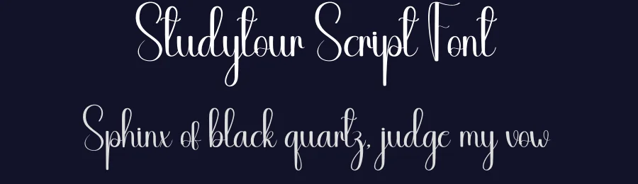 Studytour Script Font by andikastudio — Script Handwritten Font — thumbnail 2