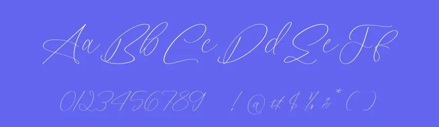 Styelad Initials Handwritten Font by Operatype.Co — Script Handwritten Font — thumbnail 3