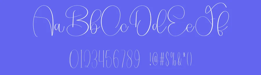Style Calligraphy Script Font by freshtypeink — Script Handwritten Font — thumbnail 3