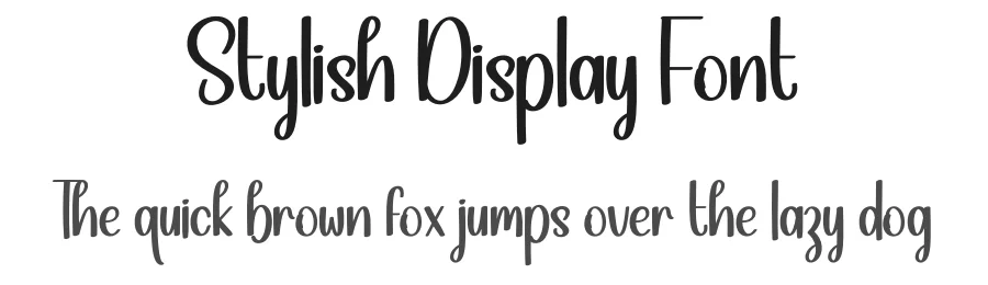 Stylish Display Font by creativeletter — Script Handwritten Font
