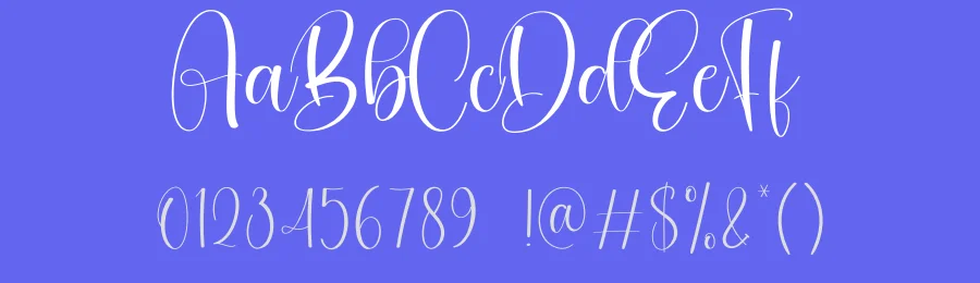 Stylish Handwritten Script Font by creativeletter — Script Handwritten Font — thumbnail 3