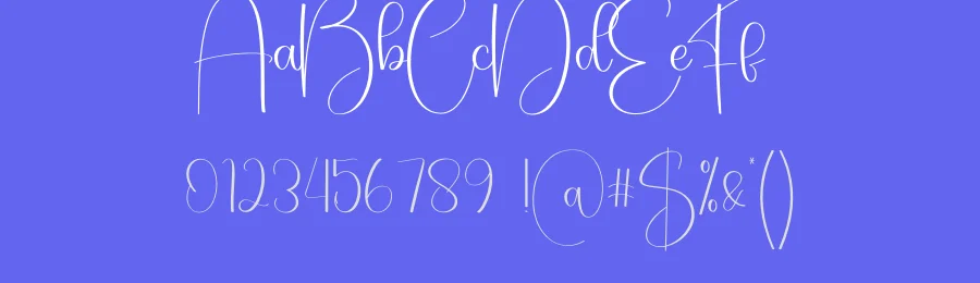 Stylish Script Font by creativeletter — Script Handwritten Font — thumbnail 3