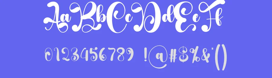 Stylish Script Font by creativeletter — Script Handwritten Font — thumbnail 3