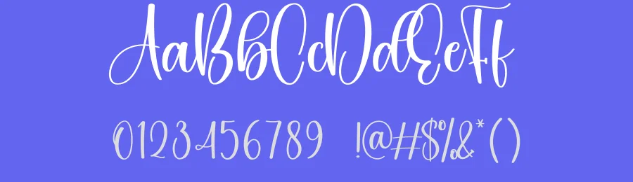 Stylish Script Font by creativeletter — Script Handwritten Font — thumbnail 3