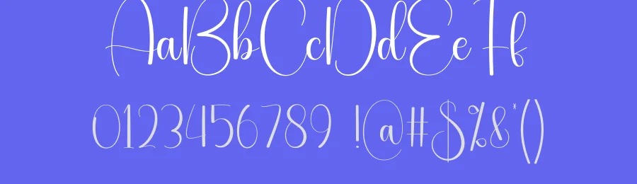 Stylish Script Font by creativeletter — Script Handwritten Font — thumbnail 3