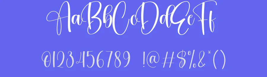Sublimation Calligraphy Font by creativeletter — Script Handwritten Font — thumbnail 3