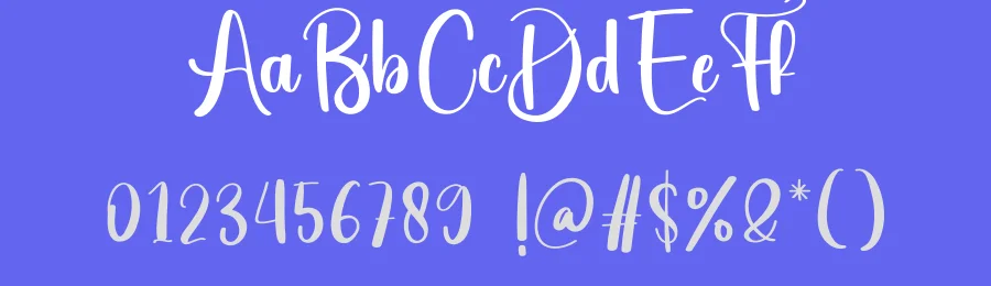 Sublimation Calligraphy Font by creativeletter — Script Handwritten Font — thumbnail 3