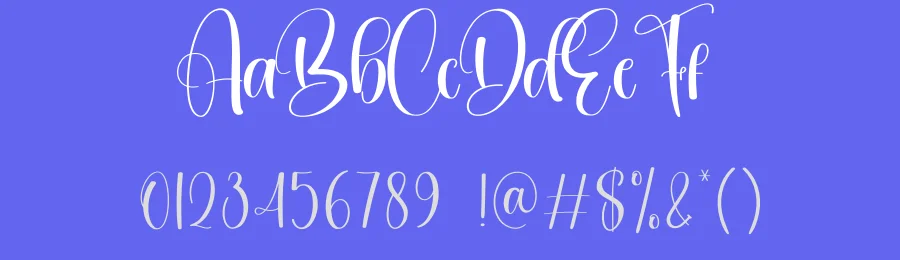 Sublimation Script Font by creativeletter — Script Handwritten Font — thumbnail 3