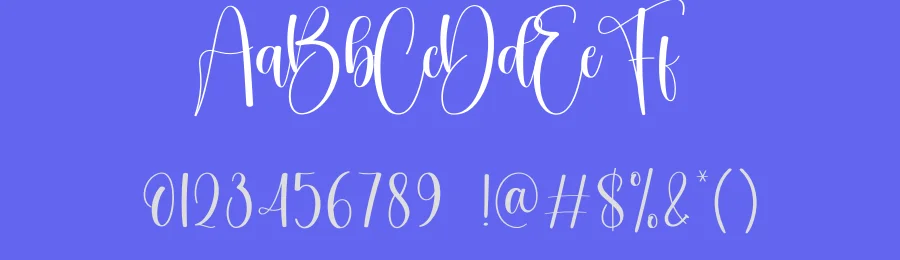 Sublimation Script Typeface by creativeletter — Script Handwritten Font — thumbnail 3