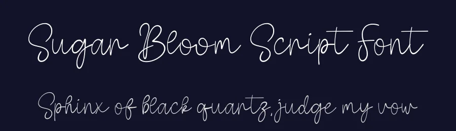 Sugar Bloom Script Font by Funtype — Serif Font — thumbnail 2