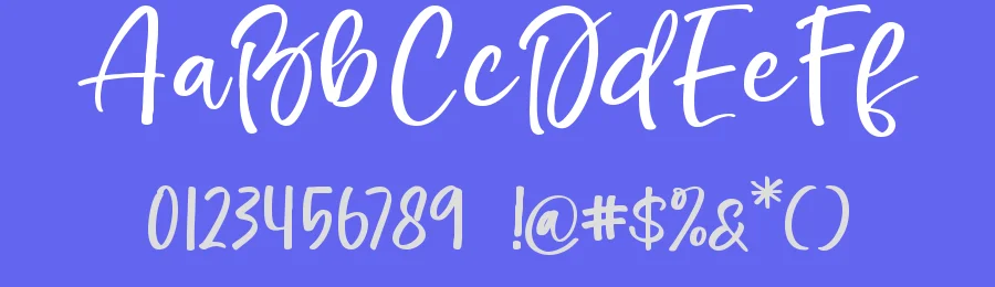 Sugar Blushy – Modern Handwritten Script Font by letterenastudios — Serif Font — thumbnail 3