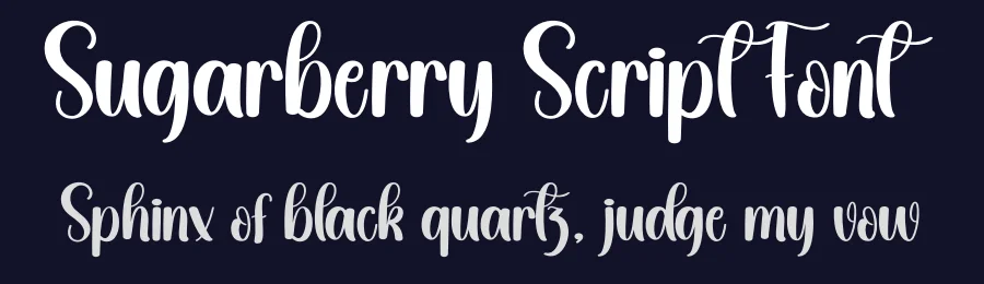 Sugarberry Script Font by creativeletter — Script Handwritten Font — thumbnail 2