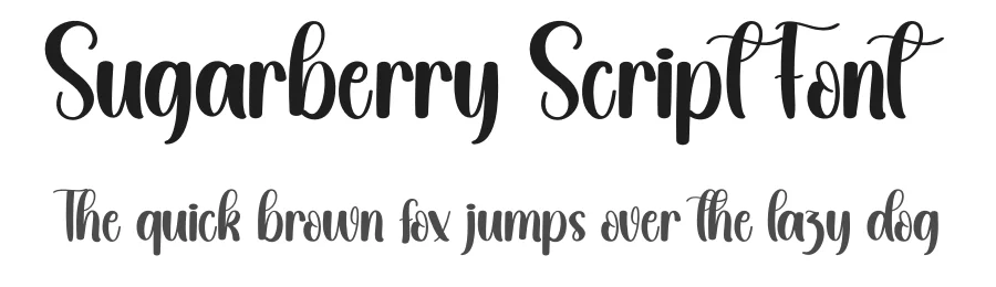 Sugarberry Script Font by creativeletter — Script Handwritten Font