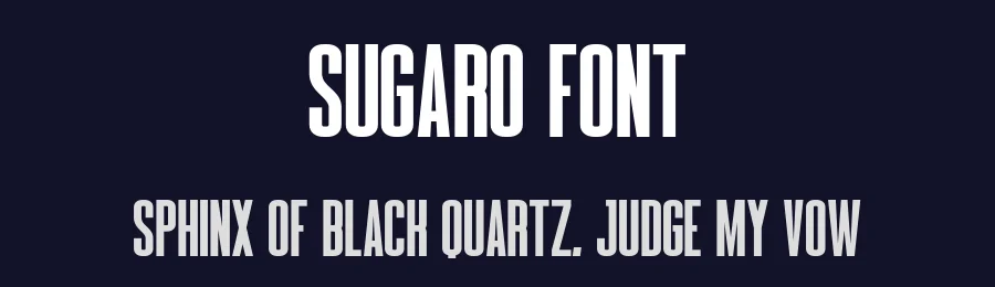 Sugaro Font by Craftedtype — Decorative Font — thumbnail 2