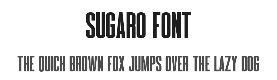 Sugaro Font by Craftedtype — Decorative Font