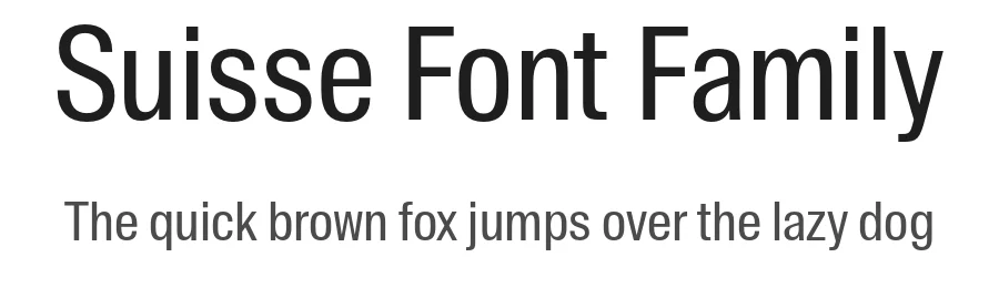 Suisse Font Family by Swiss Typefaces — Display Font