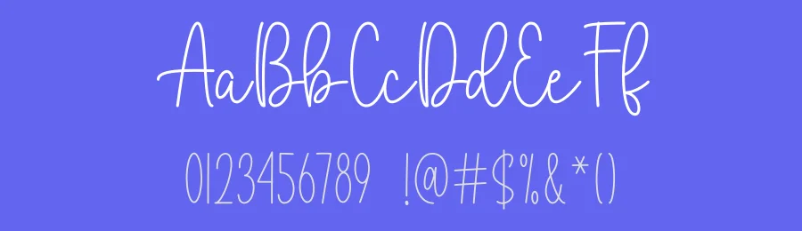 Summer Aesthetic Script Font by DN Creative — Script Handwritten Font — thumbnail 3
