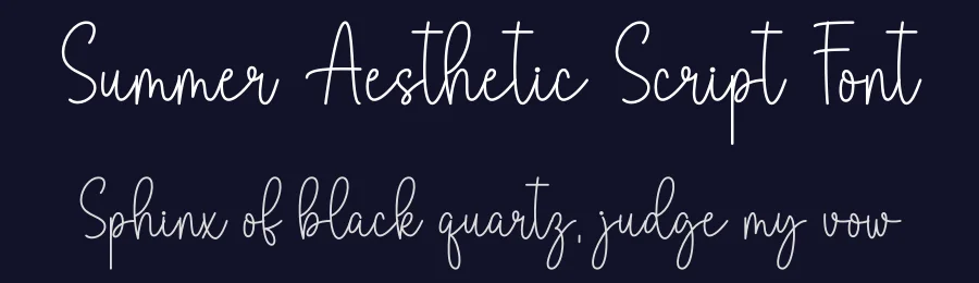 Summer Aesthetic Script Font by DN Creative — Script Handwritten Font — thumbnail 2