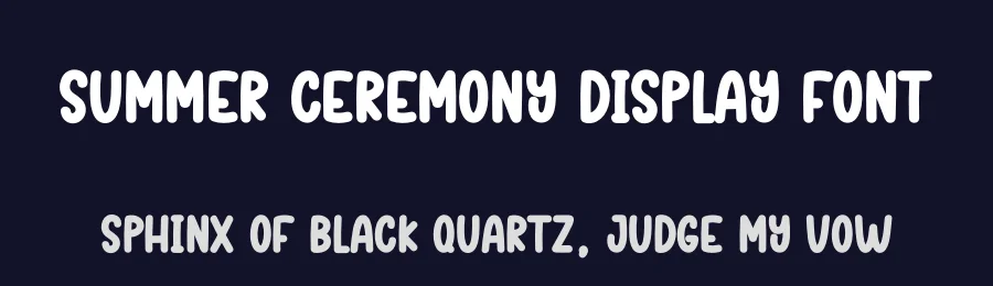 Summer Ceremony Display Font by creativeletter — Script Handwritten Font — thumbnail 2