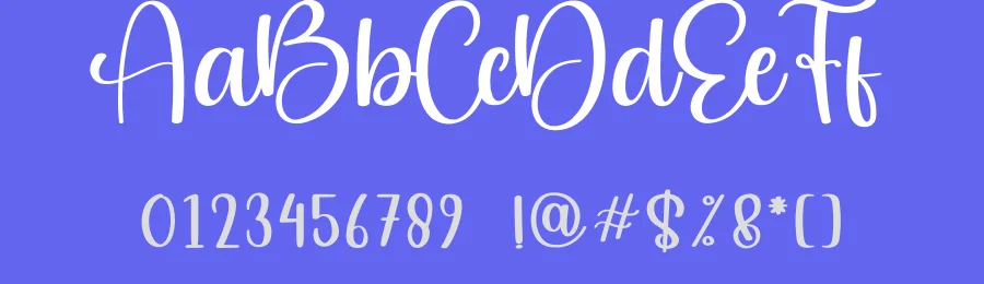Summer Embroidary Script Font by creativeletter — Script Handwritten Font — thumbnail 3
