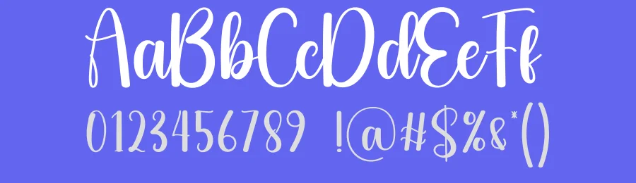 Summer Schedule Script Font by creativeletter — Script Handwritten Font — thumbnail 3