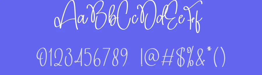 Summer Signature Script Font by creativeletter — Script Handwritten Font — thumbnail 3