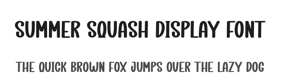 Summer Squash Display Font by creativeletter — Display Font