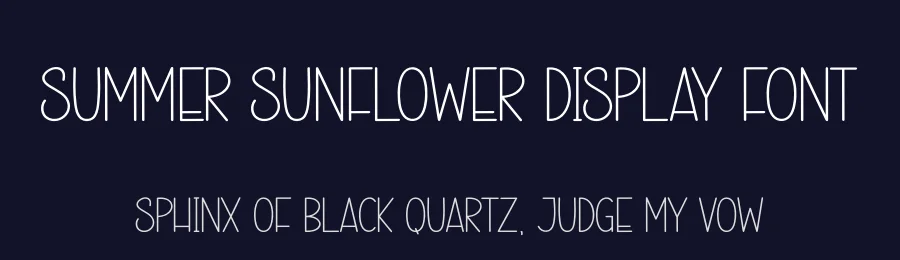 Summer Sunflower Display Font by creativeletter — Display Font — thumbnail 2