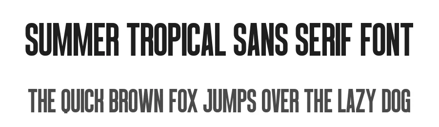 Summer Tropical Sans Serif Font by Craftedtype — Decorative Font