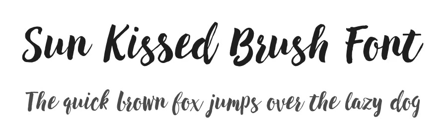 Sun Kissed Brush Font by Typeface — Script Handwritten Font