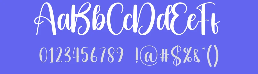 Sunburn Script Typeface by creativeletter — Script Handwritten Font — thumbnail 3