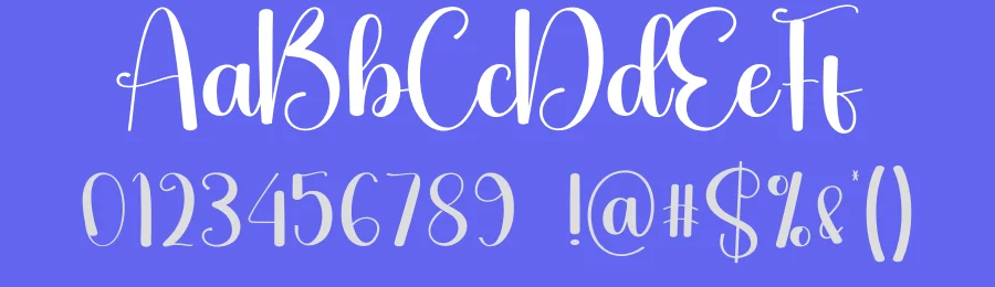 Sunday Calligraphy Typeface by creativeletter — Script Handwritten Font — thumbnail 3