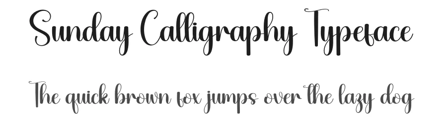 Sunday Calligraphy Typeface by creativeletter — Script Handwritten Font