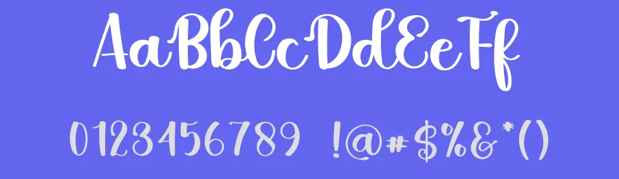 Sunday Calligraphy Typeface by freshtypeink — Script Handwritten Font — thumbnail 3