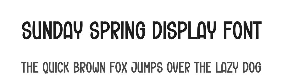 Sunday Spring Display Font by creativeletter — Display Font