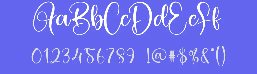 Sunflower Calligraphy Typeface by creativeletter — Script Handwritten Font — thumbnail 3