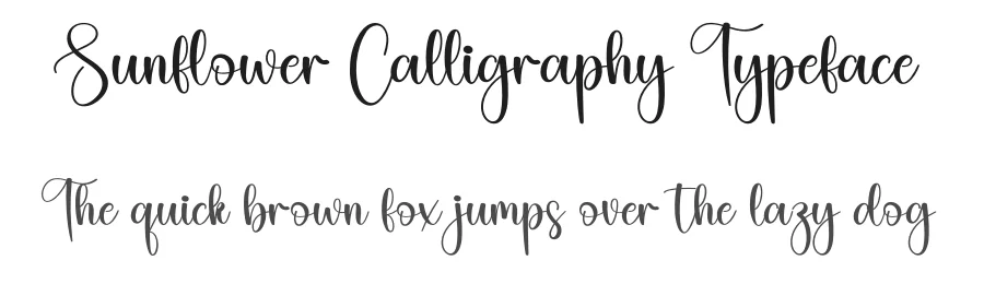 Sunflower Calligraphy Typeface by creativeletter — Script Handwritten Font