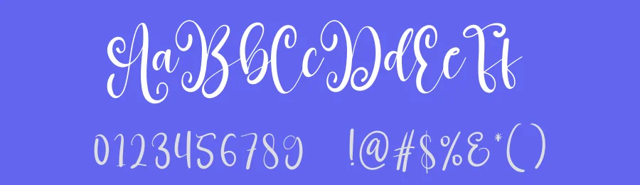 Sunflower Calligraphy Typeface by creativeletter — Script Handwritten Font — thumbnail 3