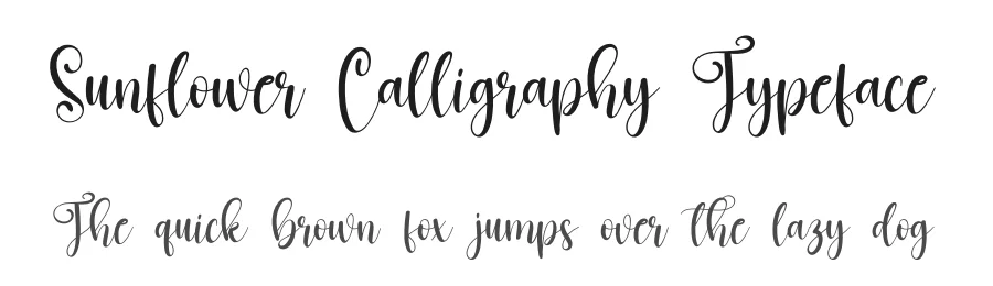 Sunflower Calligraphy Typeface by creativeletter — Script Handwritten Font