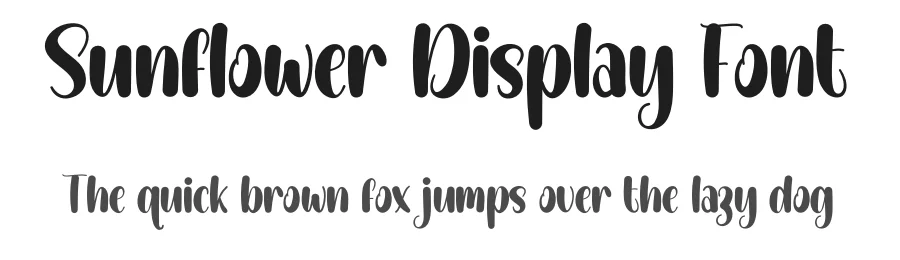Sunflower Display Font by creativeletter — Script Handwritten Font