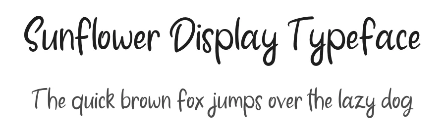 Sunflower Display Typeface by inermediaSTUDIO — Display Font