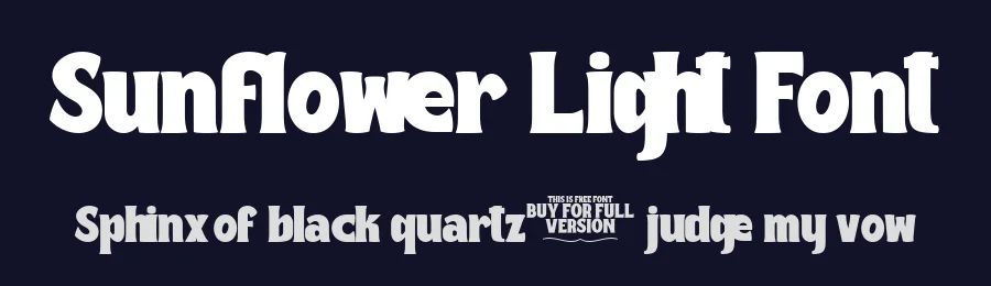 Sunflower Light Font by andstudio07 — Serif Font — thumbnail 2