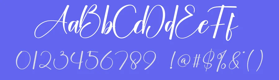Sunflower Modern Script Font by creativeletter — Script Handwritten Font — thumbnail 3