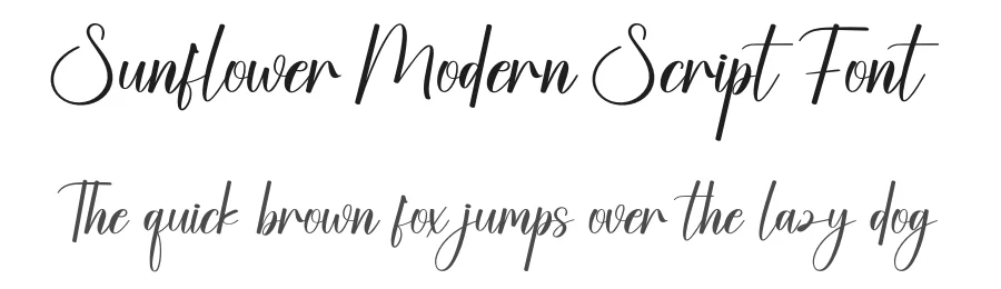 Sunflower Modern Script Font by creativeletter — Script Handwritten Font