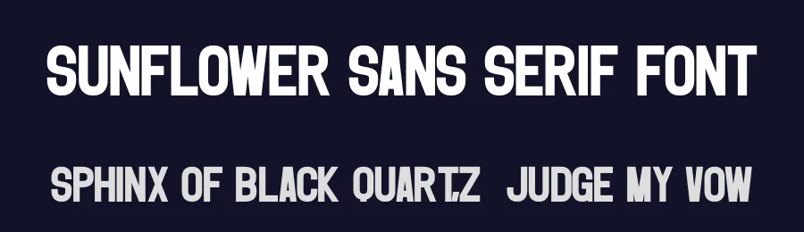 Sunflower Sans Serif Font by Craftedtype — Decorative Font — thumbnail 2