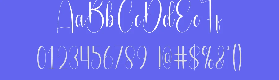 Sunflower Script Font by andikastudio — Script Handwritten Font — thumbnail 3
