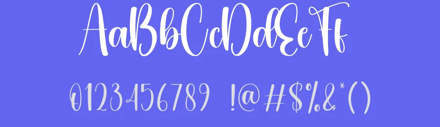 Sunflower Script Font by creativeletter — Script Handwritten Font — thumbnail 3